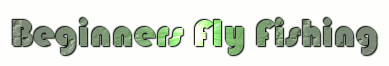 Beginners Fly Fishing Logo